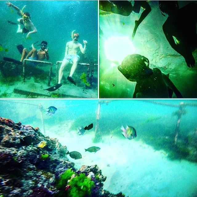 Stephen and friends were snorkling